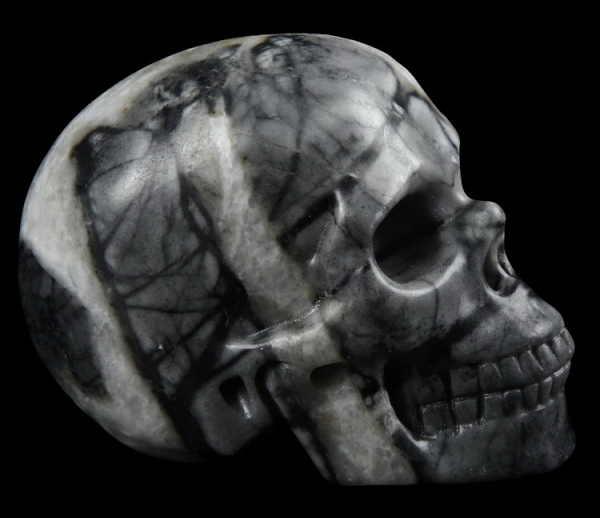 Skull Picasso Jaspis